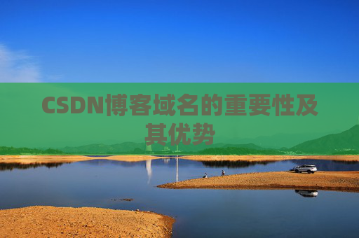 CSDN博客域名的重要性及其优势